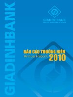 báo cáo thường niên 2010 ngân hàng tmcp bản việt viet capital bank
