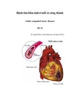 Bệnh tim bẩm sinh ở tuổi trưởng thành (Adult congenital heart disease) (Kỳ 6) docx