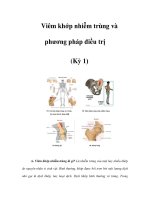 Viêm khớp nhiễm trùng và phương pháp điều trị (Kỳ 1) pptx