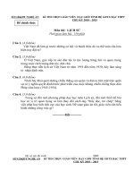 ĐỀ.Đ.A THI GVG TỈNH N.A 2010 - MÔN SỬ