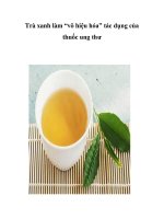Trà xanh làm “vô hiệu hóa” tác dụng của thuốc ung thư docx