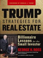 TRUMP STRATEGIES FOR REAL ESTATE CHAPTER 1 potx