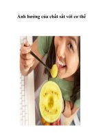 Ảnh hưởng của chất sắt với cơ thể pot