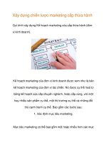 Xây dựng chiến lược marketing cấp thừa hành pot