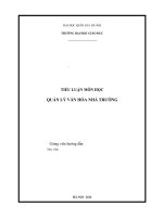 Quản lý văn hóa nhà trường (Tiểu luận 9 điểm)