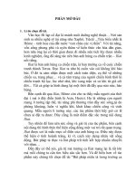 Tiểu luận “Bút pháp miêu tả trong trường ca Iliat của Hôme