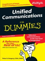 unified communications for dummies