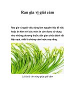 Rau gia vị giải cảm ppt