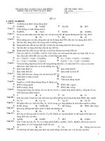 Kiểm tra Hóa 12 chương kim loại