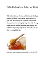 Chữa viêm họng bằng thuốc y học dân tộc docx