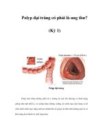 Polyp đại tràng có phải là ung thư? (Kỳ 1) ppt