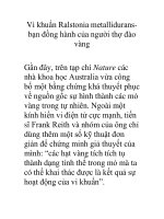 Vi khuẩn Ralstonia metallidurans pdf