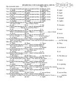 De kiem tra 10 chuan