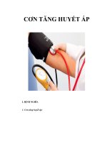 CƠN TĂNG HUYẾT ÁP pps