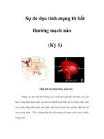 Sự đe dọa tính mạng từ bất thường mạch não (Kỳ 1) docx