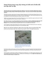 Hang khủng long cung cấp những chi tiết mới về biến đổi khí hậu thời cổ đại