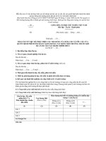 Mẫu báo cáo về việc đã thực hiện các nội dung của báo cáo và yêu cầu của quyết định phê duyệt báo đánh giá tác động môi trường trước khi dự án đi vào vận hành chính thức pptx