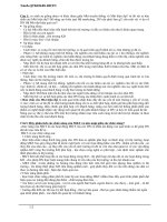 đề cương marketing căn bản - phần 3