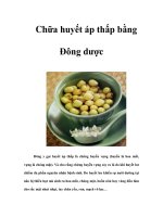 Chữa huyết áp thấp bằng Đông dược potx