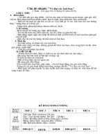 Tuan 5: Ve dep cua cac loai hoa ( CD: The gioi thuc vat)