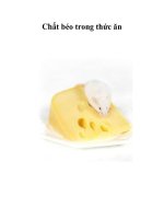 Chất béo trong thức ăn potx