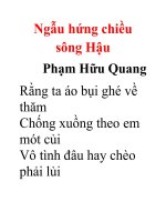 Ngẫu hứng chiều sông Hậu pot