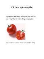 Cà chua ngừa ung thư potx