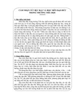 SKKN về dạy Đ Đ trong trường Tiểu học