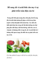 Bổ sung sắt và acid folic cho mẹ vì sự phát triển toàn diện của bé pptx
