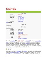 Tào Tháo của Việt Nam - Trịnh Tùng