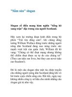 ''''sắm sửa'''' slogan cho công ty