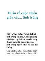 Bí ẩn về cuộc chiến giữa các... tinh trùng ppsx