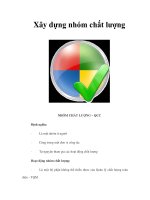 Xây dựng nhóm chất lượng ppt
