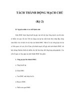 TÁCH THÀNH ĐỘNG MẠCH CHỦ (Kỳ 2) pot