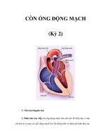 CÒN ỐNG ĐỘNG MẠCH (Kỳ 2) docx
