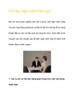 Chi tiêu ngân sách hiệu quả ppsx