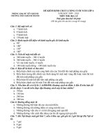 Đề thi Địa lý 6