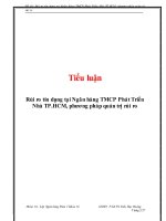 tiểu luận rủi ro tín dụng tại ngân hàng tmcp phát triển nhà tp.hcm, phương pháp quản trị rủi r