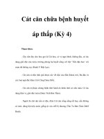 Cát căn chữa bệnh huyết áp thấp (Kỳ 4) doc