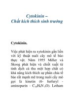 Cytokinin – Chất kích thích sinh trưởng Cytokinin. ppt