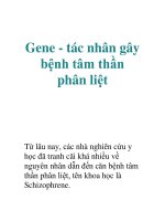 Gene - tác nhân gây bệnh tâm thần phân liệt docx