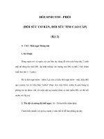 HỒI SINH TIM - PHỔI (HỒI SỨC CƠ BẢN, HỒI SỨC TIM CAO CẤP) (Kỳ 2) docx