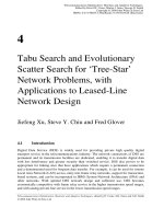 Tối ưu hóa viễn thông và thích nghi Kỹ thuật Heuristic P4 ppsx