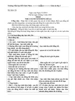 giáo án l3 tuần 25 (CKTKN)