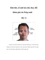 Khó thở, sổ mũi kéo dài, thay đổi khứu giác do Polyp mũi (Kỳ 1) docx