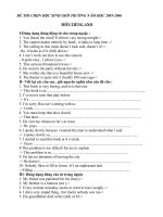 de thi hoc sinh gioi truong mon tieng anh HT