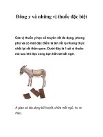 Đông y và những vị thuốc đặc biệt potx