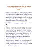 doanh nghiệp nên chuẩn bị gì cho erp