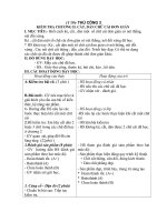 thu cong 3 - tuan 19