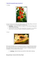 5 loại trái cây làm đẹp cho phụ nữ